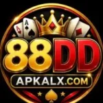 88DD Game